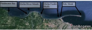 Restoration Sediment Now Arriving on Sediment Starved Elwha Feeder Bluffs: Understanding Sediment Delivery to the Elwha Nearshore
