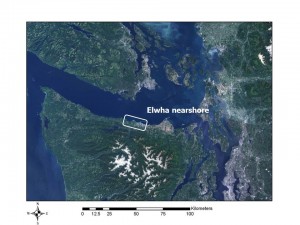 The untold story of the Elwha nearshore, by A. Shaffer, Coastal Watershed Institute 13 March 2014
